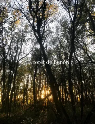 Paysage naturel près de le séjour chez l'habitant