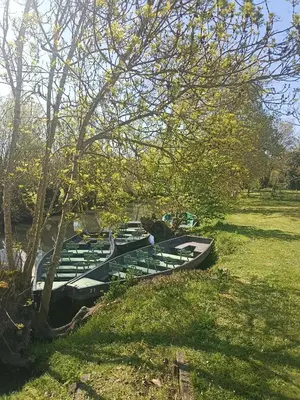 Jardin de l'établissement Gîte de la cour