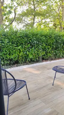 Jardin de l'établissement Entre Mer & Filles