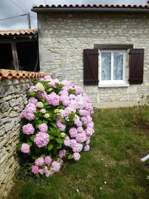 Jardin de l'établissement 