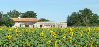 Jardin de l'établissement 
