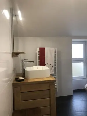 Cuisine ou kitchenette dans l'établissement La biche