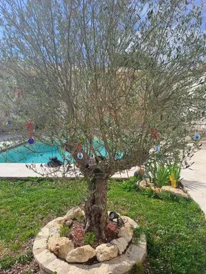 Jardin de l'établissement Maison dépaysante au calme Soyaux Angoulême