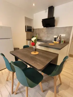 Cuisine ou kitchenette dans l'établissement Appartement récemment rénové