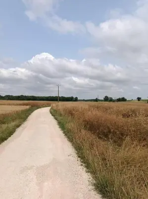 Paysage naturel près de la maison de vacances