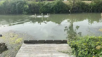 Vue sur la rivière ou le fleuve situé(e) à proximité de la maison de vacances