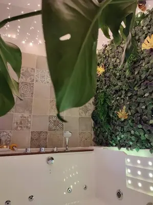 Salle de bains dans l'établissement La Cabana Agréable logement avec Jacuzzi/Balnéo