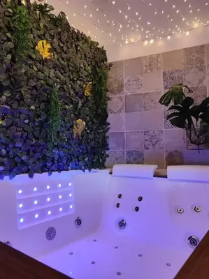 Salle de bains dans l'établissement La Cabana Agréable logement avec Jacuzzi/Balnéo