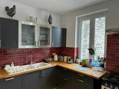 Cuisine ou kitchenette dans l'établissement Central village house in Bussiere Poitevine