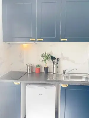Cuisine ou kitchenette dans l'établissement La MiMi des Minimes