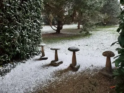 Jardin de l'établissement La Grelauderie 6