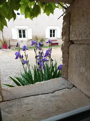 Jardin de l'établissement Les Iris - Chambre Chêne - petit déjeuner