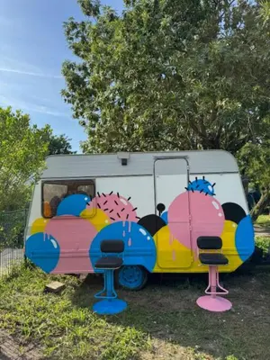 Plan de l'établissement CAMPING ANIMAL KING