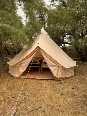 Plan de l'établissement CAMPING ANIMAL KING