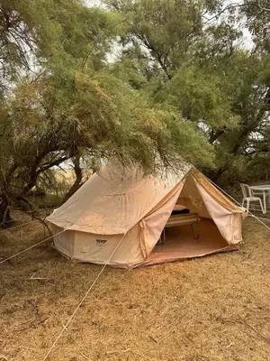 Plan de l'établissement CAMPING ANIMAL KING