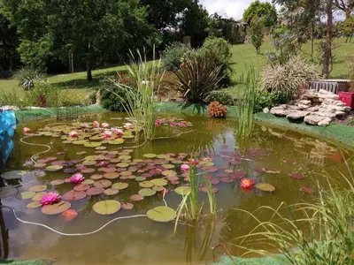 Jardin de l'établissement Chambre d'hôtes Les Nénuphars