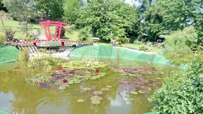 Jardin de l'établissement Chambre d'hôtes Les Nénuphars