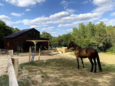 Animaux dans le chalet ou à proximité