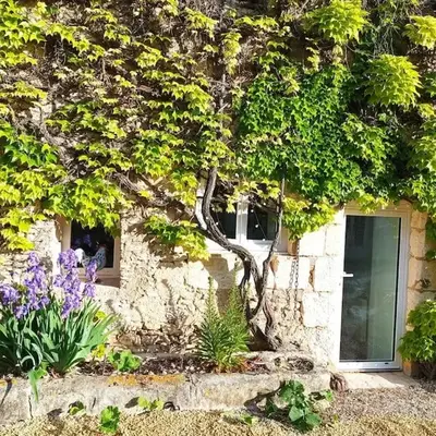 Maison Les Iris - 3 chambres et 3 salles de bain - 3 à 6 personnes - Futuroscope