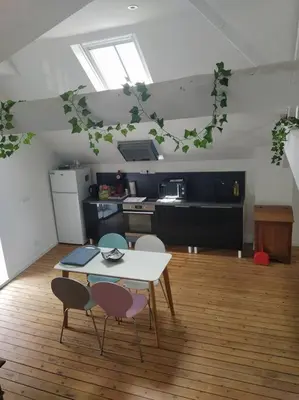 Cuisine ou kitchenette dans l'établissement le loft de la place du marché