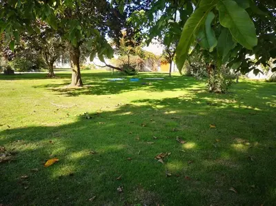 Jardin de l'établissement Studio neuf - accès SPA, SAUNA et Piscine Chauffée