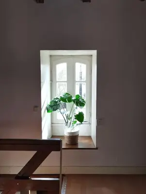Plan de l'établissement Cottage chaleureux au calme