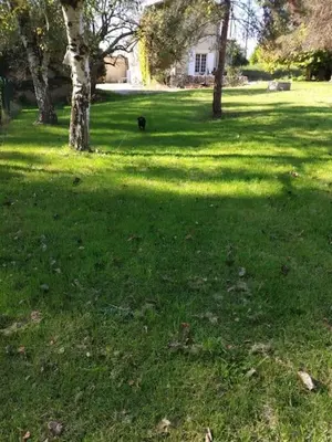 Jardin de l'établissement Cottage chaleureux au calme
