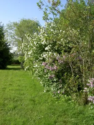 Jardin de l'établissement Gîte Gîtes de La Gartempe : la Barlotière