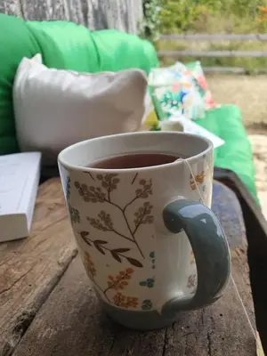 Plateau bouilloire dans l'établissement Studio confort, charme & tranquilité 