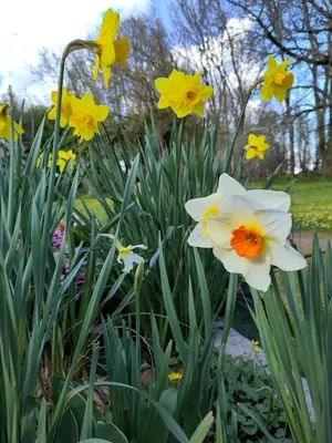 Jardin de l'établissement L'ENVOLEE