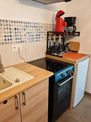 Cuisine ou kitchenette dans l'établissement LES BOUCHOLEURS