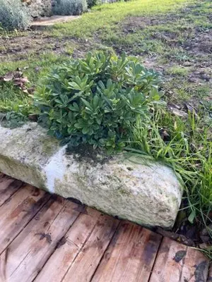 Jardin de l'établissement le Domaine du Petit Bois, Gîte l'Etable