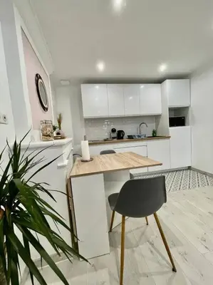 Cuisine ou kitchenette dans l'établissement Joli studio Cozy tout équipé Hyper Centre Saintes