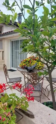 Jardin de l'établissement Chez Isa