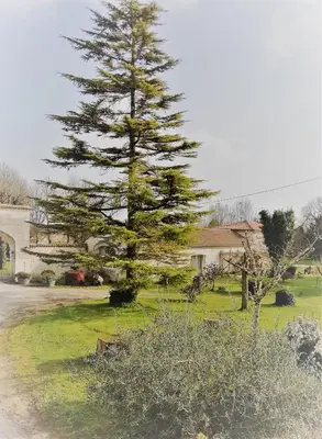 Jardin de l'établissement Domaine des Tonneaux