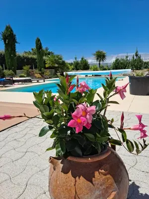 Piscine de l'établissement Chambre à la campagne ou située à proximité