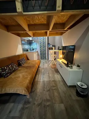 Télévision ou salle de divertissement dans l'établissement La Tiny : Adorable petit studio /parking gratuit.