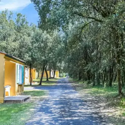 Stunning Home In Saint-Savinien