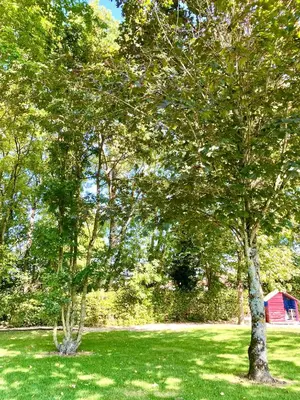 Jardin de l'établissement Aux Agapanthes, Chambres d'Hôtes charentaises de charme avec piscine