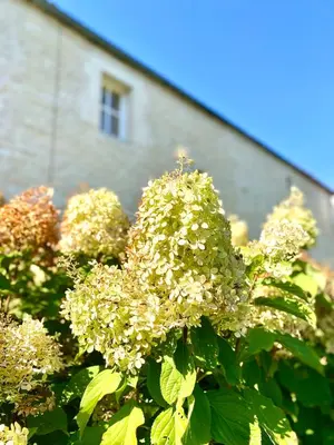 Plan de l'établissement Aux Agapanthes, Maison de vacances de charme avec piscine Charente Maritime