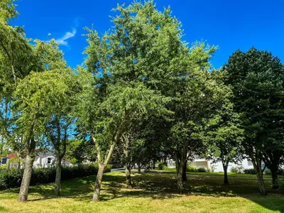 Paysage naturel près de l'appartement