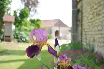 Jardin de l'établissement Domaine chez Maurice
