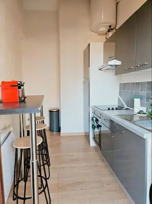 Cuisine ou kitchenette dans l'établissement Studio lumineux proche du centre