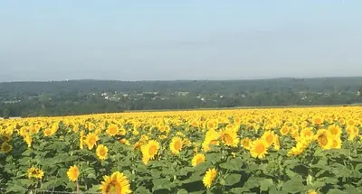 Paysage naturel près de la maison de vacances