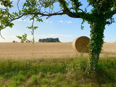 Paysage naturel près de le B&B/chambre d'hôtes