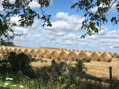 Paysage naturel près de le B&B/chambre d'hôtes