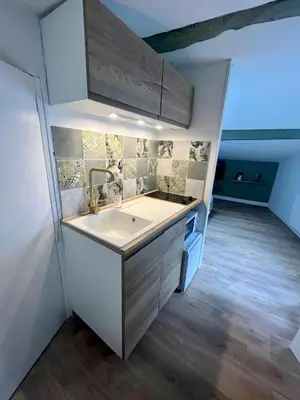 Cuisine ou kitchenette dans l'établissement Sous les toits du parvis