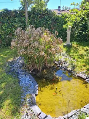 Jardin de l'établissement La maison de Caroline