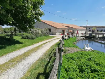 Paysage naturel près de la maison de vacances