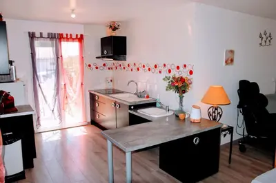 Cuisine ou kitchenette dans l'établissement Le 16 BIS Appart Climatisé PMR